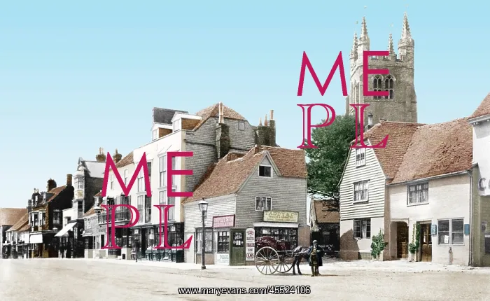  : Tenterden, High Street 1900