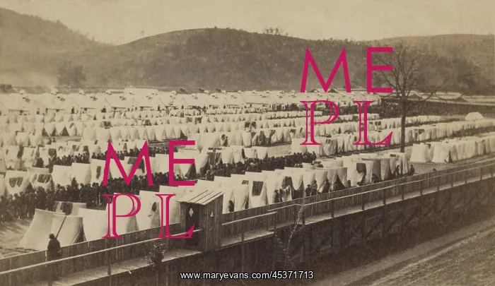 : Tents and barracks within a stockade at Elmira : Tents and barracks within a stockade at Elmira