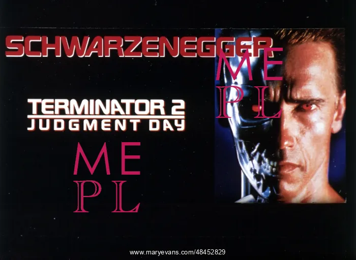 : TERMINATOR 2: JUDGEMENT DAY : TERMINATOR 2: JUDGEMENT DAY