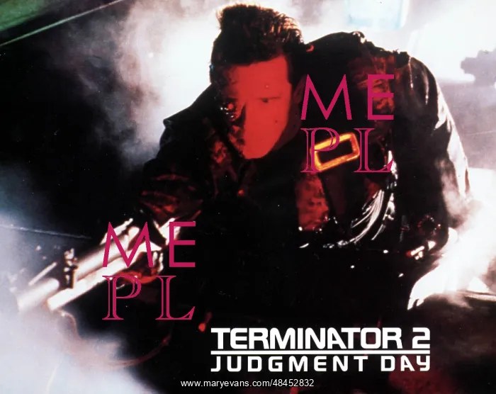: TERMINATOR 2 JUDGEMENT DAY : TERMINATOR 2 JUDGEMENT DAY