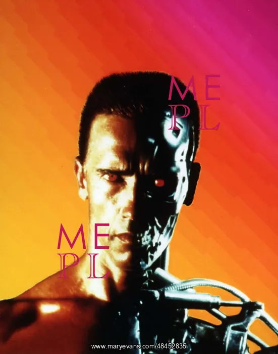 : TERMINATOR 2 JUDGEMENT DAY : TERMINATOR 2 JUDGEMENT DAY