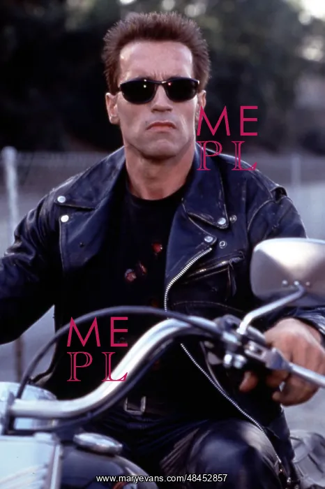 : Terminator 2 Judgement Day : Terminator 2 Judgement Day