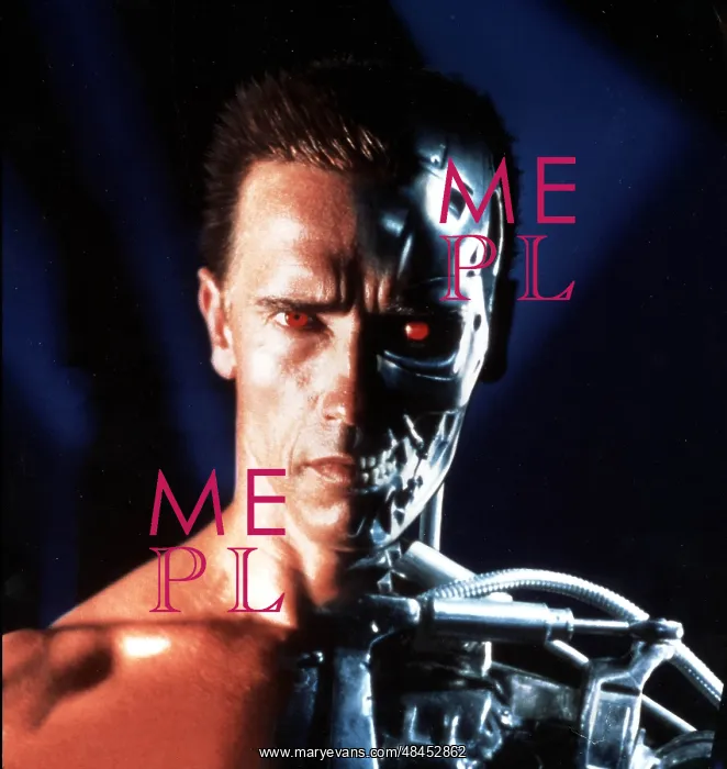 : TERMINATOR 2 JUDGEMENT DAY : TERMINATOR 2 JUDGEMENT DAY