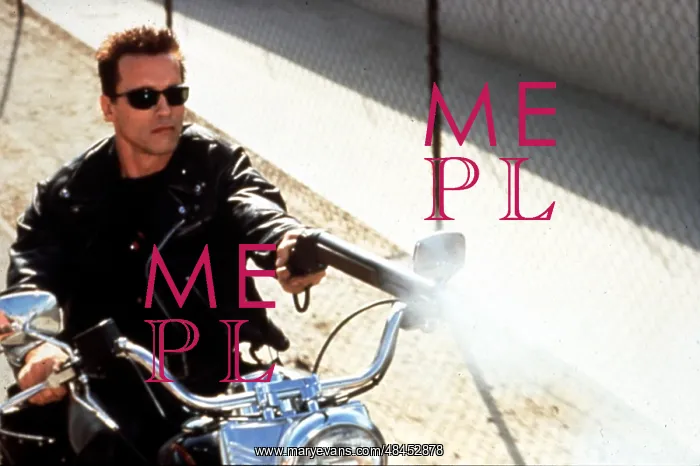 : Terminator 2 Judgement Day : Terminator 2 Judgement Day