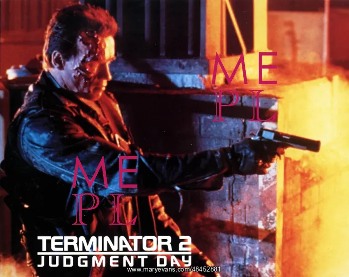 : TERMINATOR 2 JUDGEMENT DAY : TERMINATOR 2 JUDGEMENT DAY