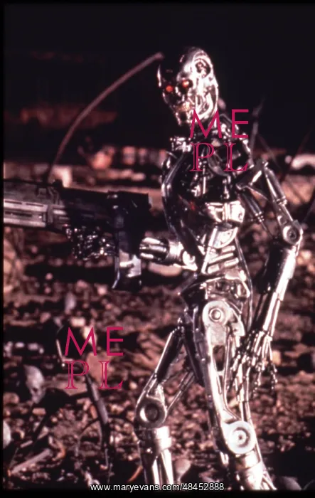 : TERMINATOR 2 JUDGEMENT DAY : TERMINATOR 2 JUDGEMENT DAY