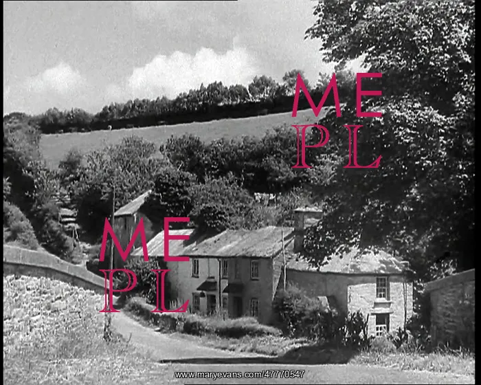 : A Terrace of Small Cottages Backed by Trees : A Terrace of Small Cottages Backed by Trees