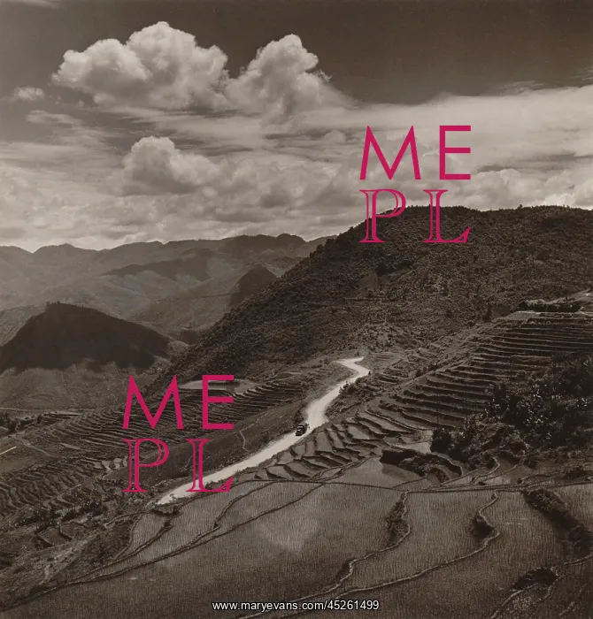 : Terraced fields and roadway in a mountainous region : Terraced fields and roadway in a mountainous region