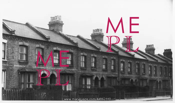 : TERRACED HOUSES : TERRACED HOUSES