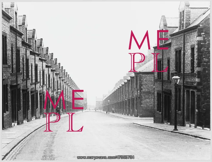  : TERRACED HOUSING / MONCK