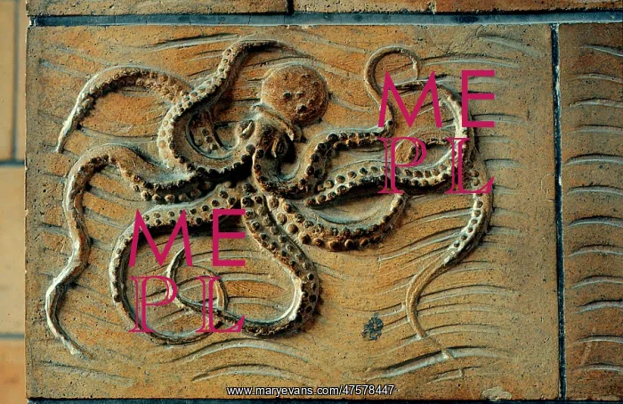 : Detail of terracotta moulding of an octopus in the Waterhous : Detail of terracotta moulding of an octopus in the Waterhous
