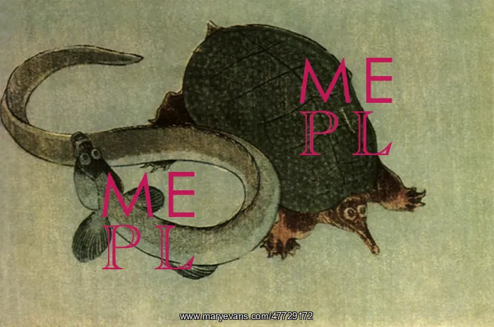  : Terrapin and Eel, by Hokusai
