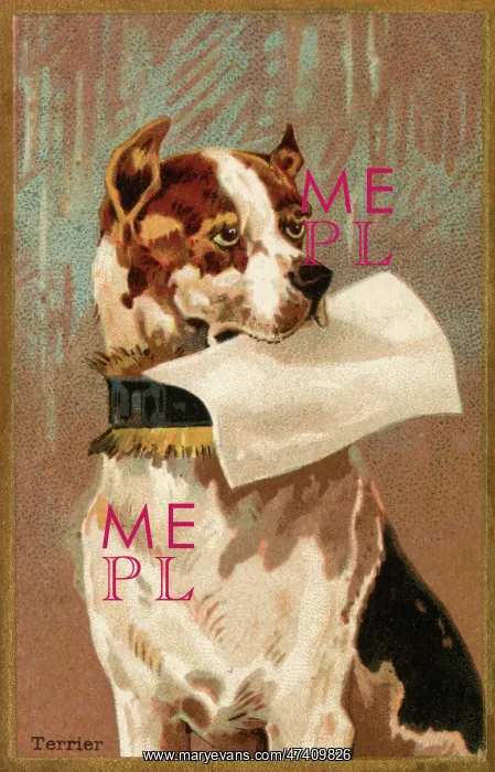 : Terrier holding blank paper : Terrier holding blank paper