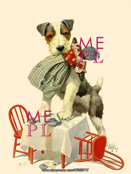  : Terrier Ruins Teaparty
