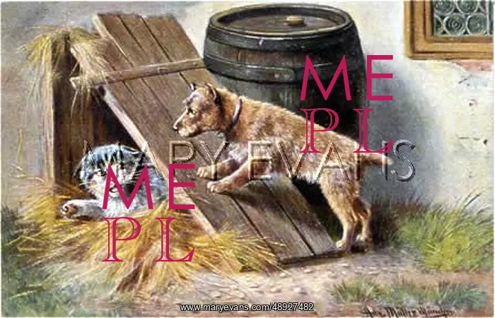  : TERRIER TORMENTS CAT