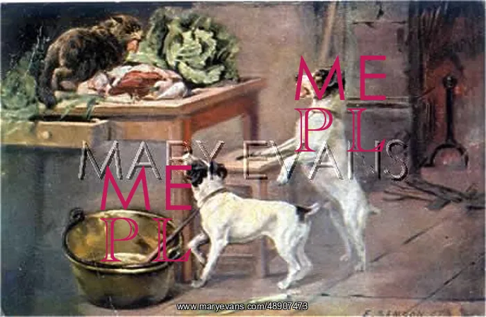 : TERRIERS AND CAT THIEF : TERRIERS AND CAT THIEF