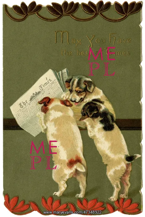  : TERRIERS READ THE TIMES
