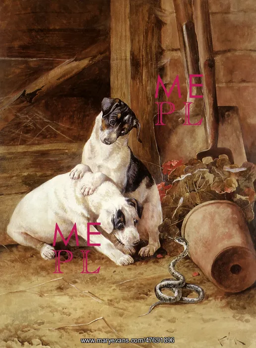  : Two Terriers and Snake