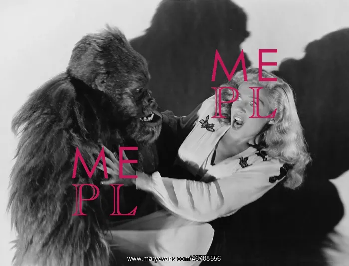 : Terrified woman being attacked by gorilla : Terrified woman being attacked by gorilla