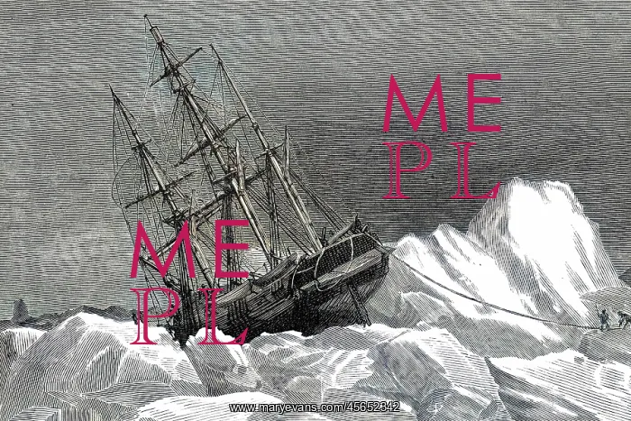: TERROR IN THE ICE : TERROR IN THE ICE