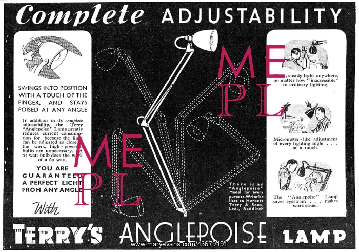 : Terrys ANGLEPOISE Lamp : Terrys ANGLEPOISE Lamp