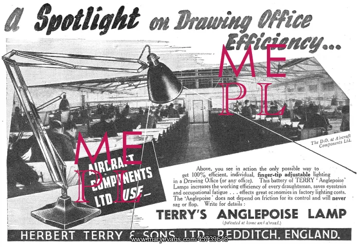 : Terrys Anglepoise Lamp : Terrys Anglepoise Lamp