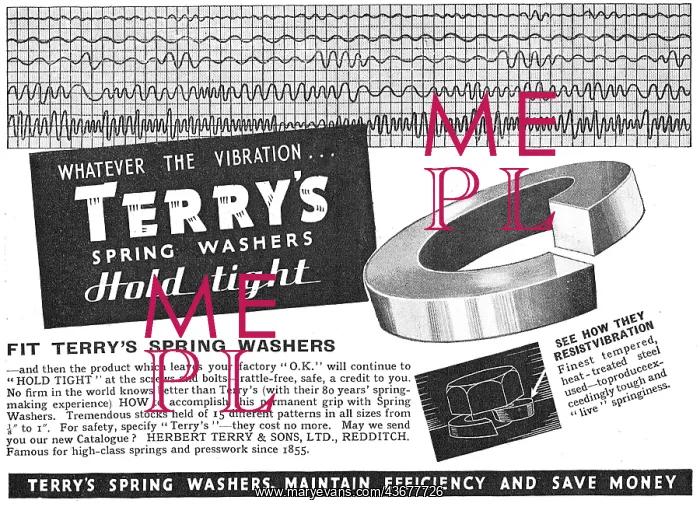 : Terrys Spring Washers : Terrys Spring Washers