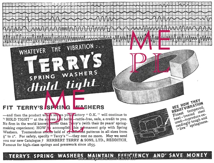 : Terrys Spring Washers : Terrys Spring Washers