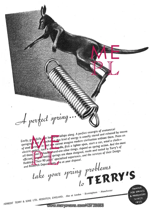 : Terrys Springs & Presswork : Terrys Springs & Presswork