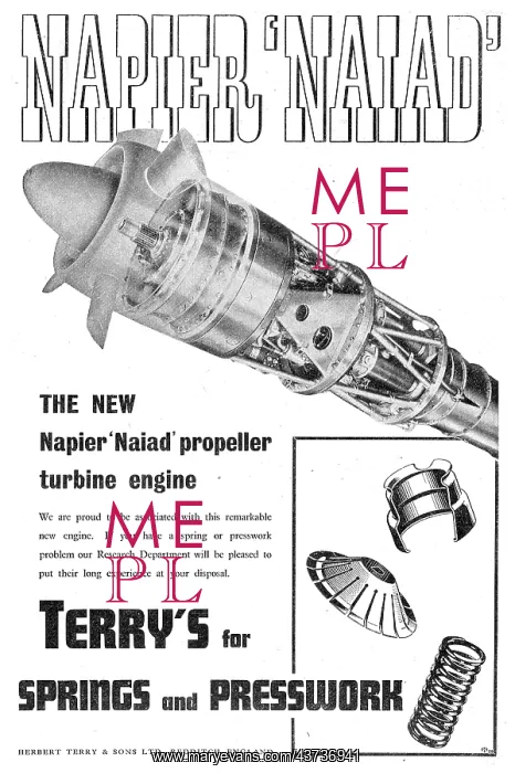 : Terrys Springs & Presswork : Terrys Springs & Presswork