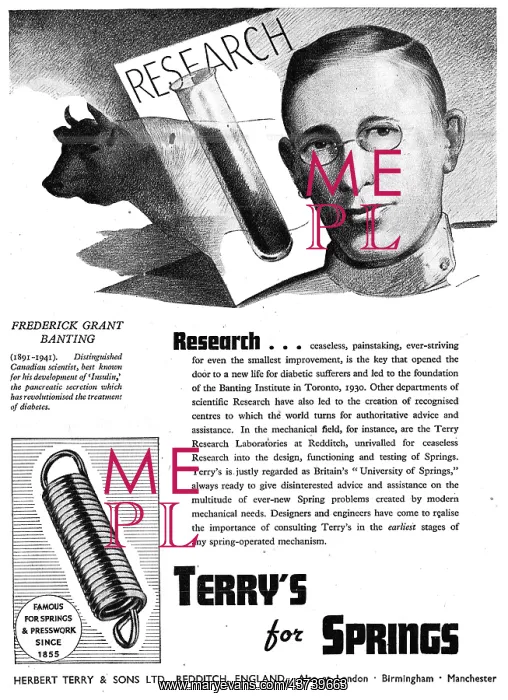 : Terrys Springs & Presswork : Terrys Springs & Presswork