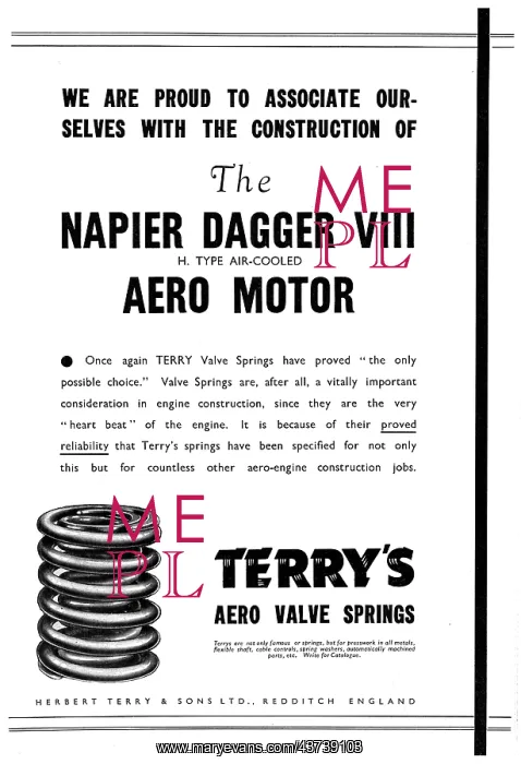 : Terrys Valve Springs : Terrys Valve Springs