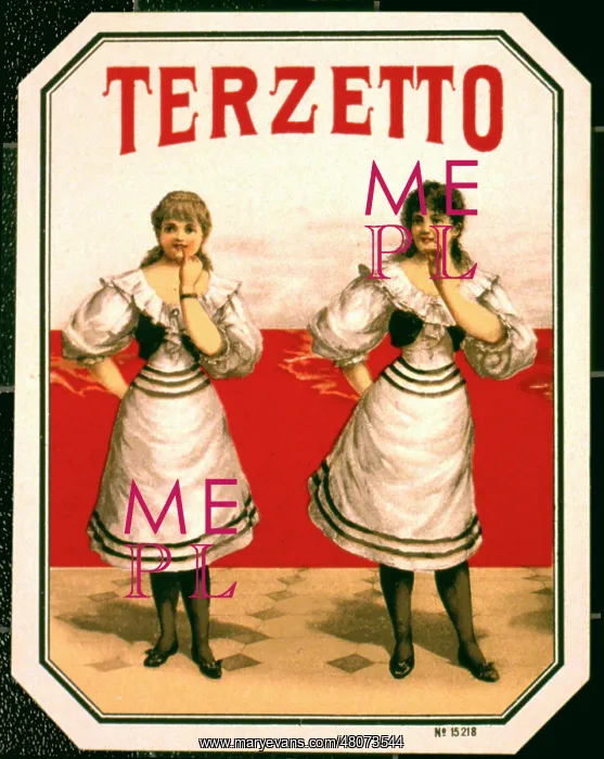 : Terzetto cigar label design : Terzetto cigar label design