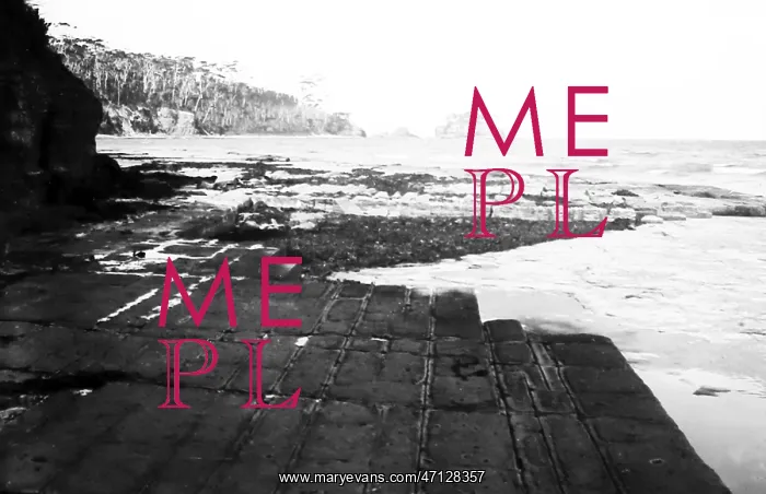  : Tessalated pavement, Launceston, Tasmania