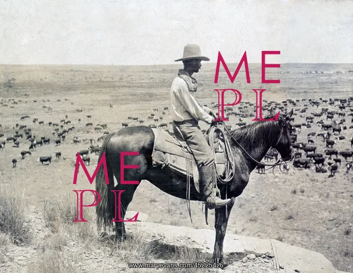 : A Texas cowboy on horseback on a knoll looking ? : A Texas cowboy on horseback on a knoll looking ?