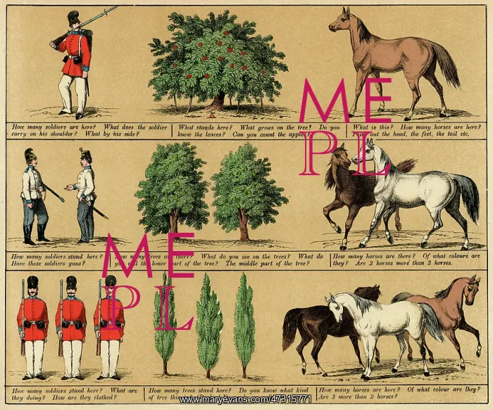 : TEXTBOOK / 1880 / PLATE 1 : TEXTBOOK / 1880 / PLATE 1