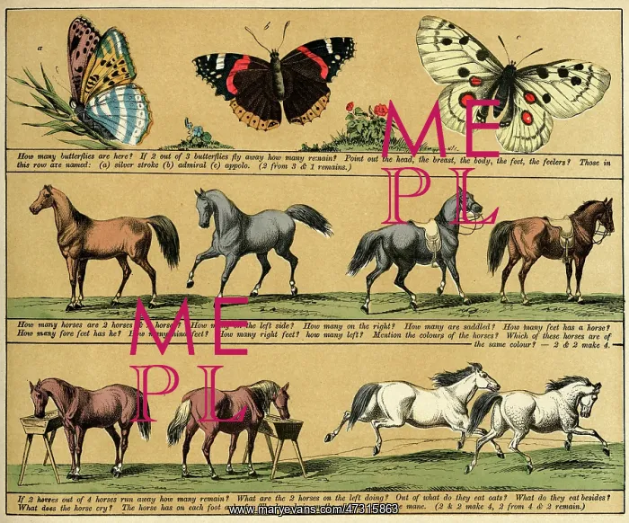  : TEXTBOOK / 1880 / PLATE 10