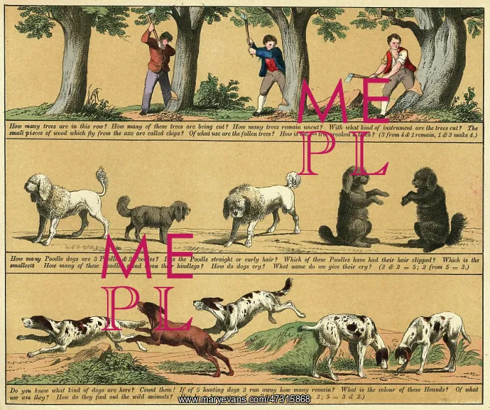 : TEXTBOOK / 1880 / PLATE 11 : TEXTBOOK / 1880 / PLATE 11