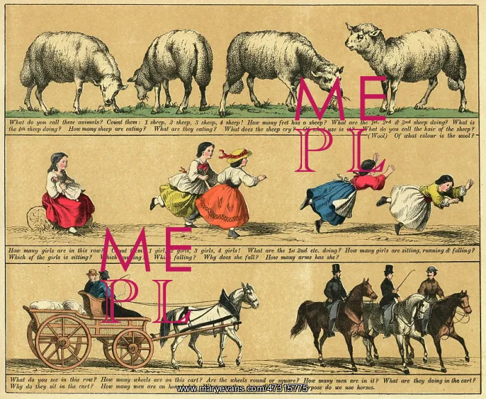 : TEXTBOOK / 1880 / PLATE 2 : TEXTBOOK / 1880 / PLATE 2