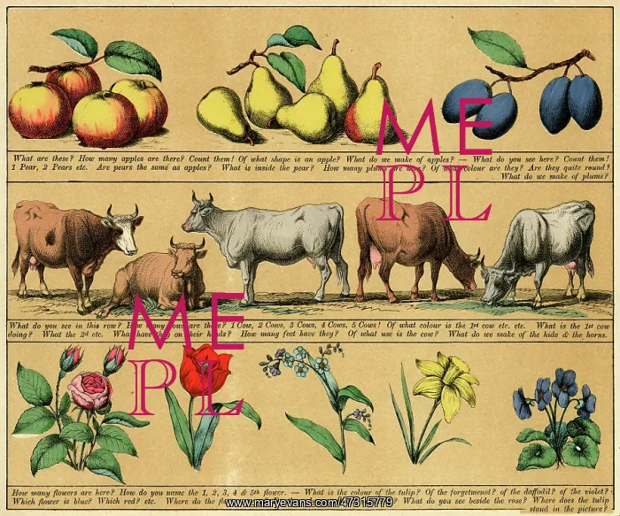 : TEXTBOOK / 1880 / PLATE 3 : TEXTBOOK / 1880 / PLATE 3