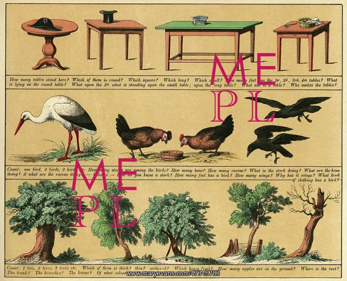 : TEXTBOOK / 1880 / PLATE 4 : TEXTBOOK / 1880 / PLATE 4