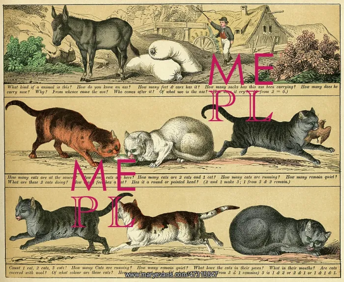 : TEXTBOOK / 1880 / PLATE 6 : TEXTBOOK / 1880 / PLATE 6
