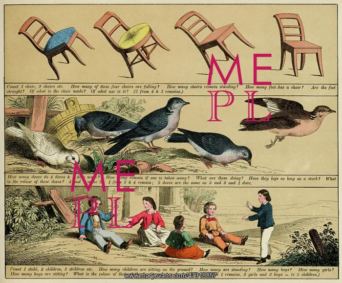 : TEXTBOOK / 1880 / PLATE 8 : TEXTBOOK / 1880 / PLATE 8
