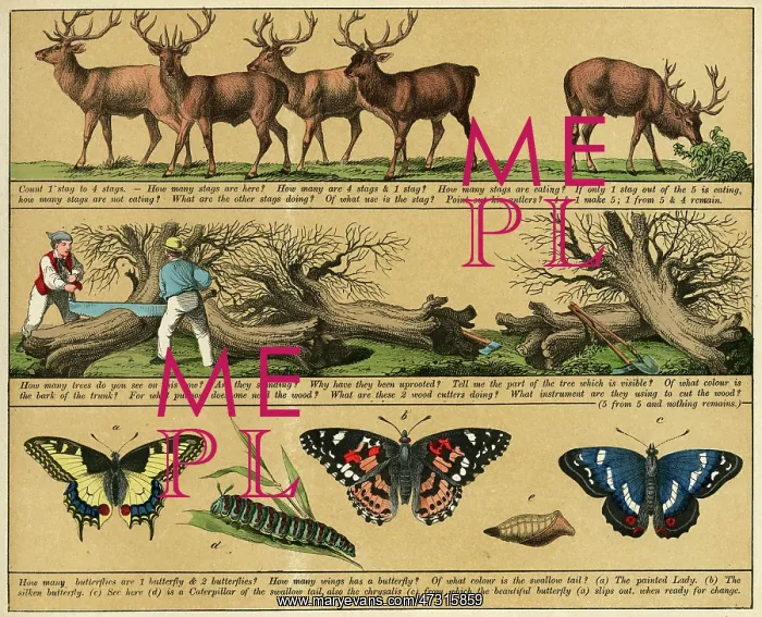 : TEXTBOOK / 1880 / PLATE 9
