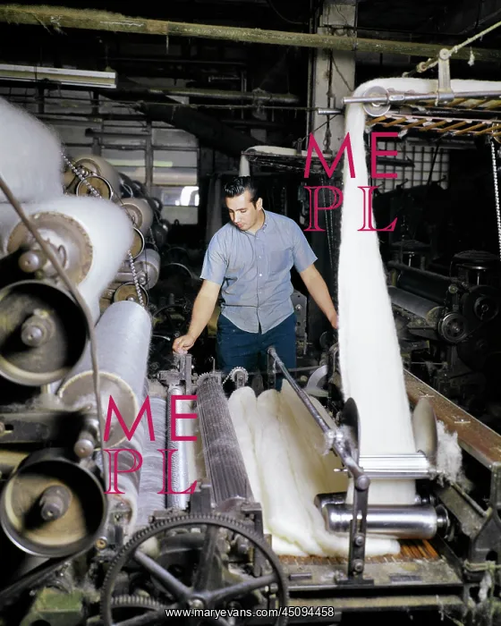 : Textile Man Working Watching Operating Wool Carding : Textile Man Working Watching Operating Wool Carding