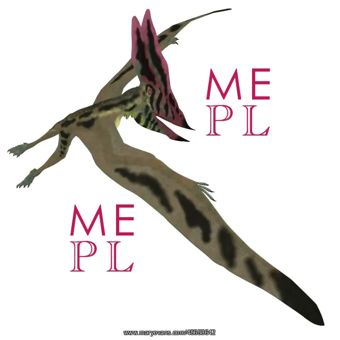 : Thalassodromeus pterosaur in flight : Thalassodromeus pterosaur in flight