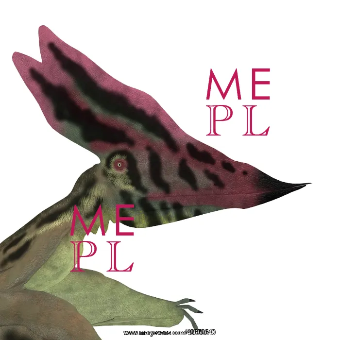 : Thalassodromeus pterosaur headshot : Thalassodromeus pterosaur headshot