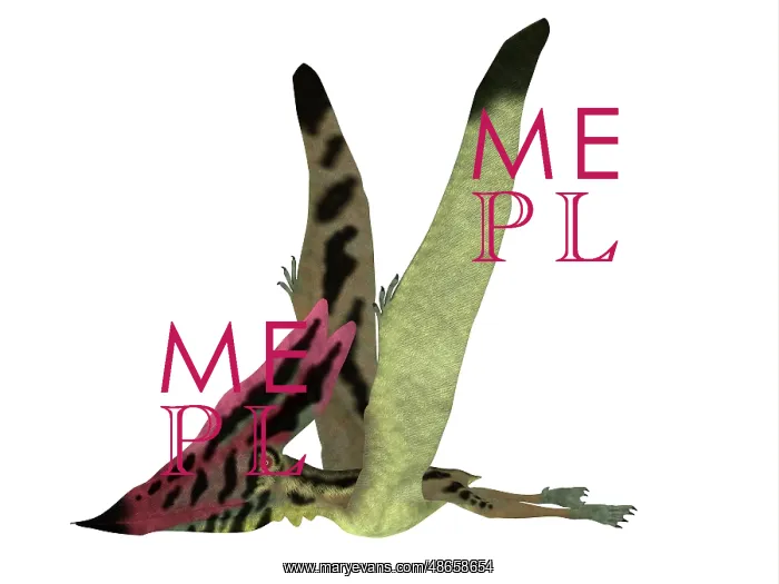 : Thalassodromeus pterosaur side view : Thalassodromeus pterosaur side view