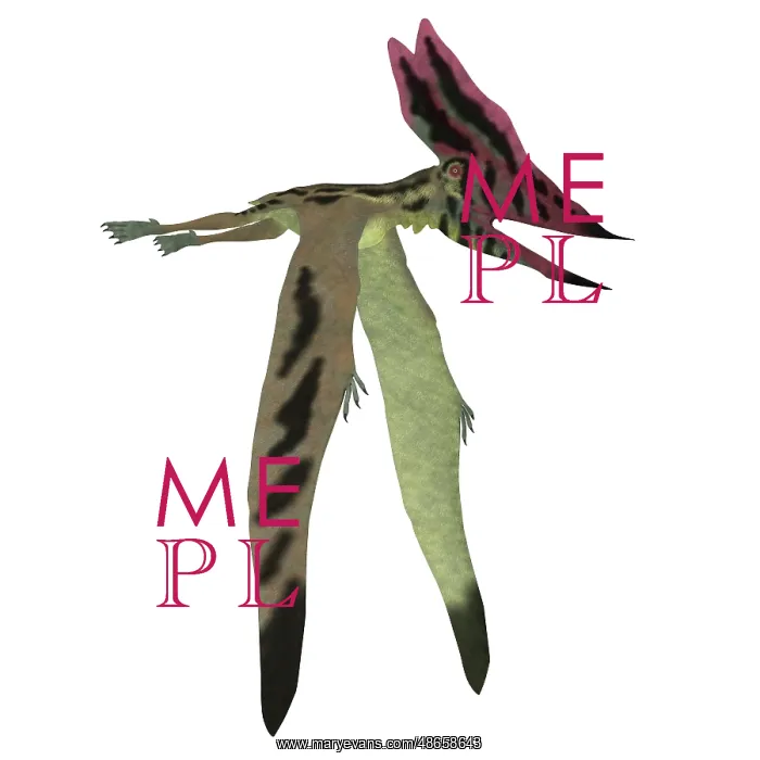 : Thalassodromeus pterosaur on white background : Thalassodromeus pterosaur on white background