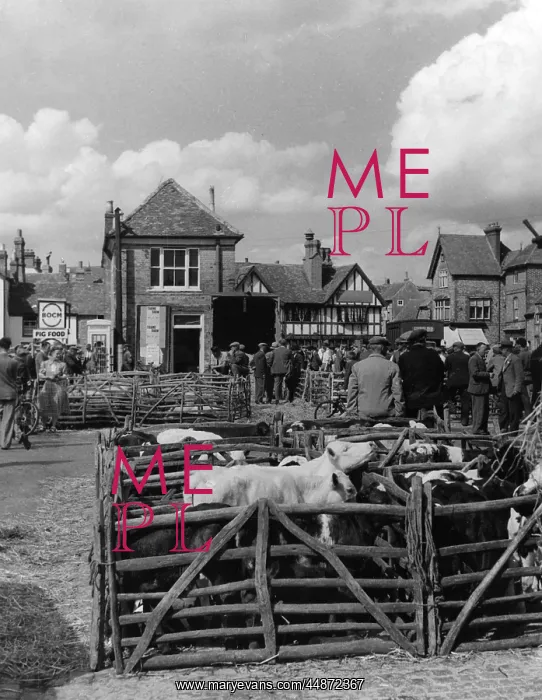 : THAME CATTLE MARKET : THAME CATTLE MARKET